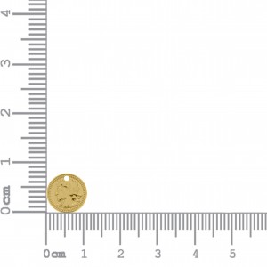 Pingente Moeda Ouro 12mm