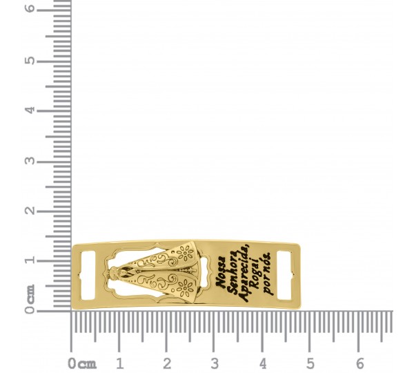 Bridão Nossa Senhora Aparecida Ouro 49mm