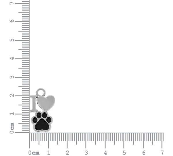 Pingente Pet Níquel com Resina Preta 24mm