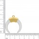 Pingente Dente de Sabre Ouro com Aplique Cristal 39mm