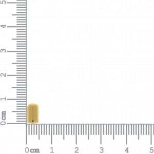 Ponteira Ouro com Parafuso 8mm