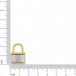 Pingente Cadeado Ouro com Níquel 24mm