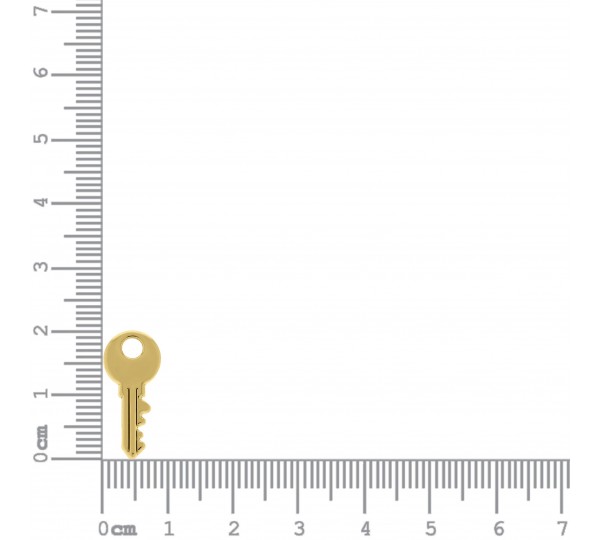 Pingente Chave Ouro 19mm