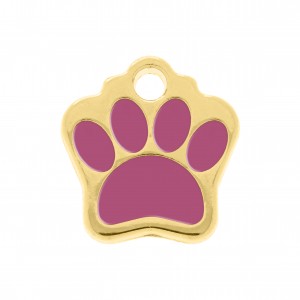 Pingente Patinha Ouro com Resina Rosa Pink 20mm