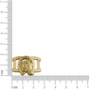 Passa Tira de Cavalo Ouro 27mm