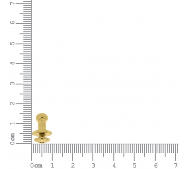 Carrapeta com Parafuso Ouro 10mm