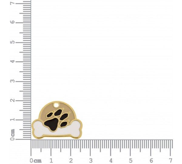 Pingente Pet Ouro com Resina Colorida 20mm