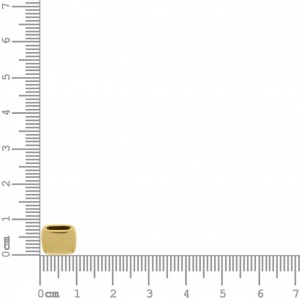 Passador Ouro 10mm