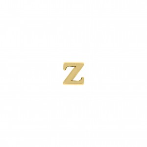 Passador Letra Z Ouro 10mm