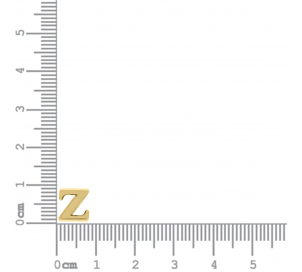Passador Letra Z Ouro 10mm
