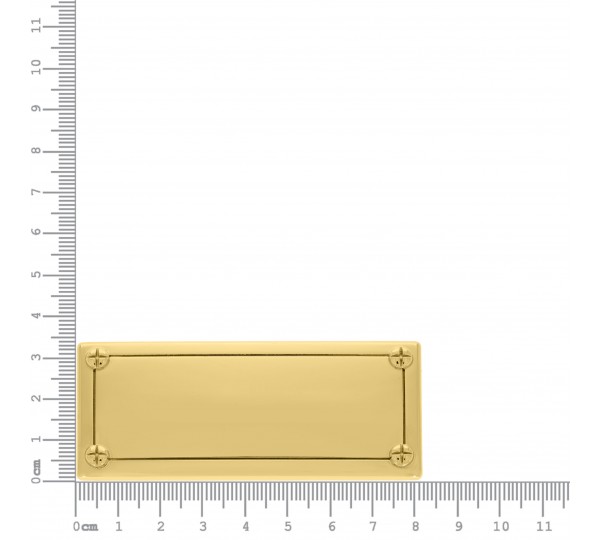 Placa Retangular Ouro com Parafuso 82mm