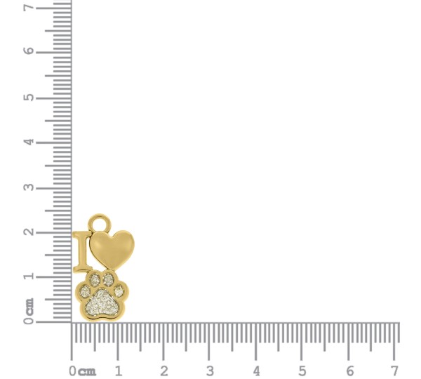 Pingente Pet Ouro com Glitter Prata 24mm