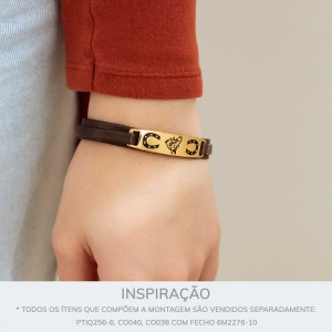 Bridão Cavalo Campeiro Ouro 45 mm