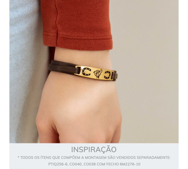 Bridão Cavalo Campeiro Ouro 45 mm