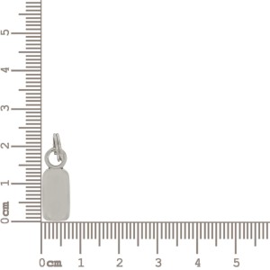 Puxador Retangular Níquel com Argola 19mm