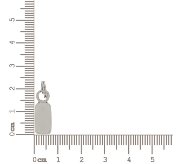 Puxador Retangular Níquel com Argola 19mm
