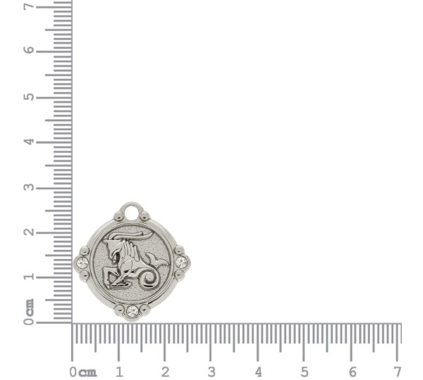 Pingente Signo Capricórnio Níquel com Cristal 26mm