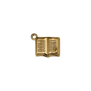 Pingente Livro Ouro 20mm