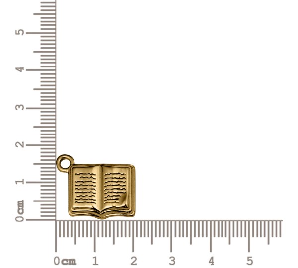 Pingente Livro Ouro 20mm