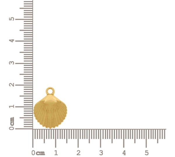 Pingente Concha Ouro 19mm
