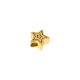 Berloque Estrela Ouro 12mm