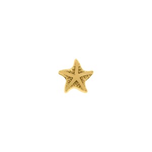 Berloque Estrela Ouro 12mm