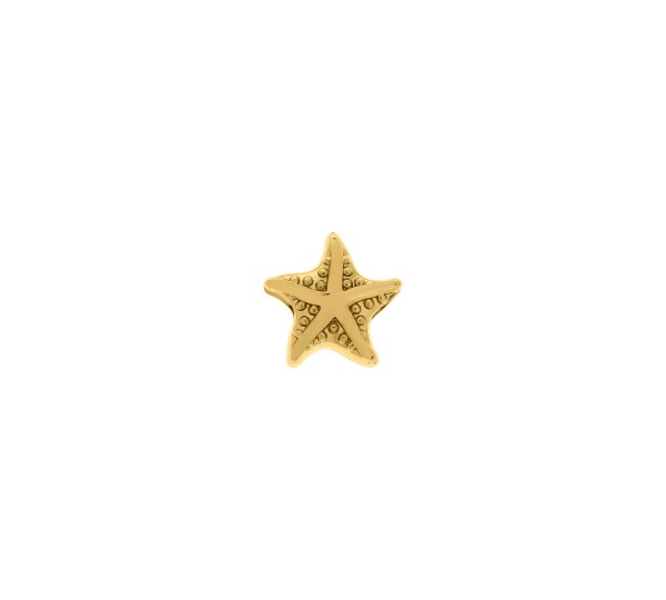 Berloque Estrela Ouro 12mm