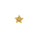 Berloque Estrela Ouro 12mm