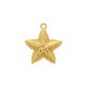 Pingente Estrela-do-Mar Ouro 33mm