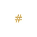 Passador Hashtag Ouro 10mm