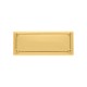 Placa Retangular Ouro com Parafuso 82mm