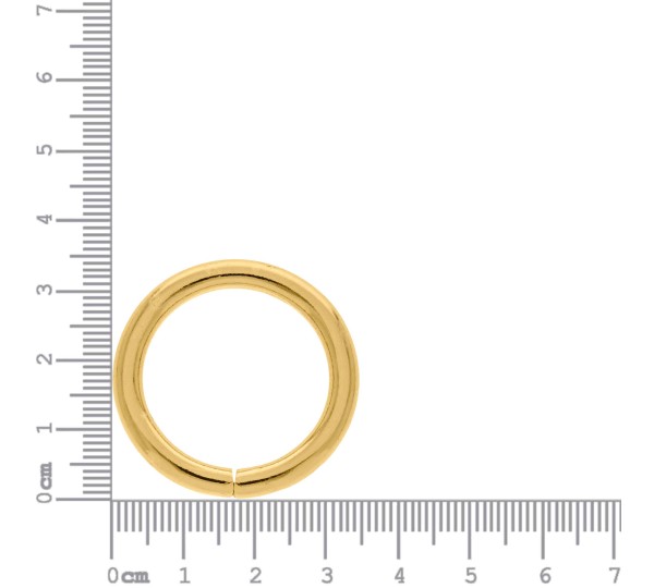 Argola Redonda Ouro 34mm