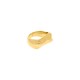 Anel Dourado Movimento N° 20