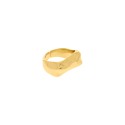 Anel Dourado Movimento N° 20