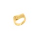 Anel Dourado Movimento N° 20
