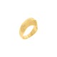 Anel Dourado Movimento N° 20