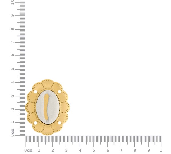 Pingente Búzio Branco com Ouro 40mm