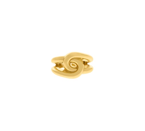 Anel Dourado Elos N° 20