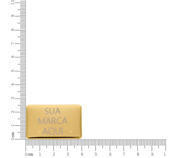 Placa Retangular Personalizada Ouro com Garra 40mm