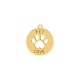 Pingente Pet Love Ouro 25mm