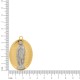 Pingente Nossa Senhora de Lourdes Ouro com Níquel 44mm