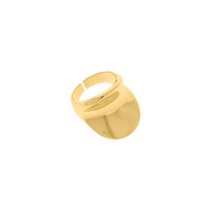 Anel Dourado Línea N° 21