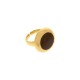 Anel Dourado com Marrom N° 21