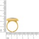 Anel Dourado com Marrom N° 21