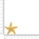 Passador Estrela Dourado 38mm