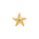 Brinco Estrela Dourado 29mm
