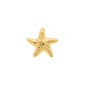 Brinco Estrela Dourado 29mm