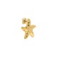 Brinco Estrela Dourado 29mm