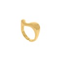 Anel Dourado Maré N° 20