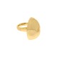 Anel Dourado Orgânico N° 21